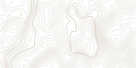 Topographic map. Topographical background. Linear graphics.Contour background geographic grid. Vector illustration. © MITA