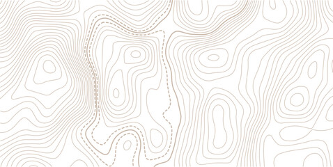 Topographic map. Topographical background. Linear graphics.Contour background geographic grid. Vector illustration. © MITA