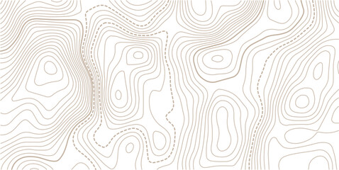 Topographic map. Topographical background. Linear graphics.Contour background geographic grid. Vector illustration. © MITA