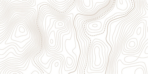 Topographic map. Topographical background. Linear graphics.Contour background geographic grid. Vector illustration. © MITA