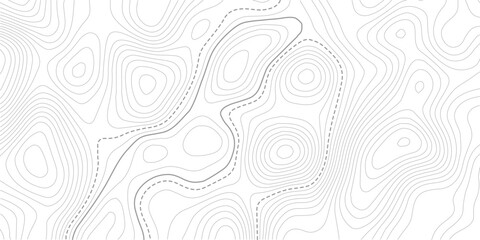 Topographic map. Topographical background. Linear graphics.Contour background geographic grid. Vector illustration. © MITA