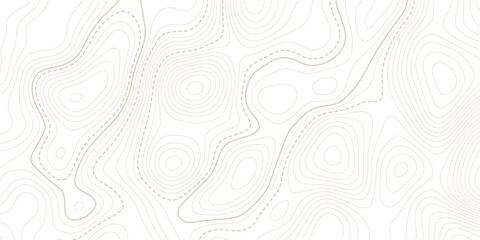 Topographic map. Topographical background. Linear graphics.Contour background geographic grid. Vector illustration. © MITA
