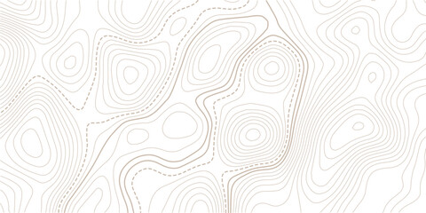 Topographic map. Topographical background. Linear graphics.Contour background geographic grid. Vector illustration. © MITA