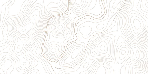 Topographic map. Topographical background. Linear graphics.Contour background geographic grid. Vector illustration. © MITA
