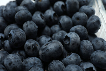 Fresh blueberries as a background for showcasing organic food products. © Pixora ST 