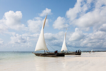 Tradycyjne drewniane łodzie z białymi żaglami na plaży Zanzibaru Tanzania © kubikactive