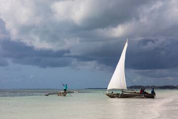 Tradycyjne drewniane łodzie z białymi żaglami na plaży Zanzibaru Tanzania © kubikactive