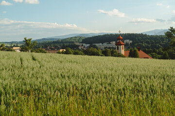 Landscape of a wheat field with the distant church of the Parish of the Most Sacred Heart of Jesus in the distance. Kamienna Góra, Lower silesia, Poland.  © stockcrafter
