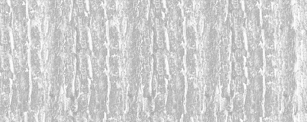 Distressed Tree Bark Grunge Texture Overlay on Transparent Background © ZackZephyr