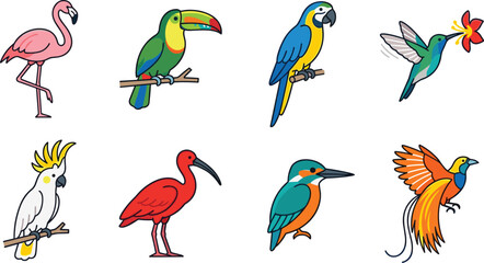 Set of colorful tropical and exotic bird including flamingo, toucan, macaw, hummingbird, cockatoo, ibis, kingfisher, and bird of paradise © UzzoulChandra