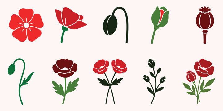 Remembrance day poppy flower collection vector illustrations for veterans day memorial designs
