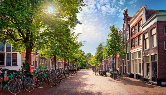 historic delfshaven street with leafy tree and bicycles in sunny rotterdam netherlands