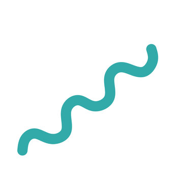 Flat spiral bacteria icon isolated on white background. Simple spirillum microorganism illustration for microbiology, healthcare, laboratory and science themes