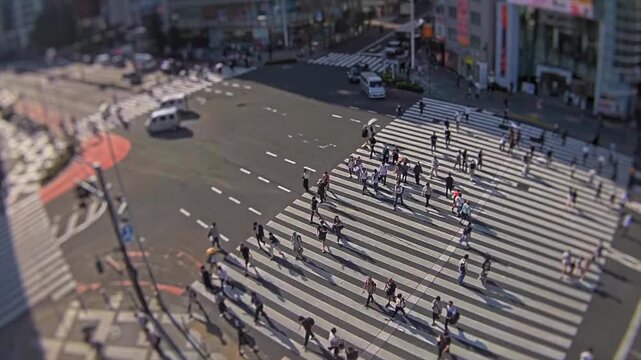 Elevated tilt shift timelapse of a large pedestrian crosswalk with cars and crowds moving through a downtown intersection in Tokyo, Japan.