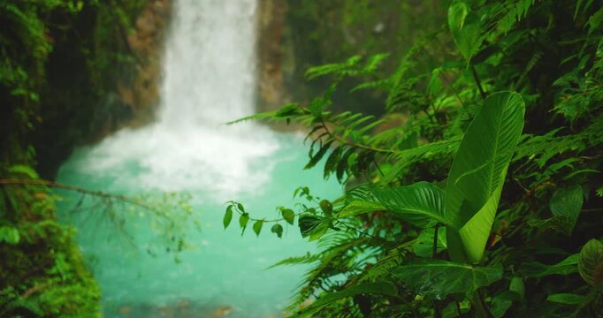 Bright tropical leaves frame the turquoise plunge pool and waterfall at Blue Falls Costa Rica