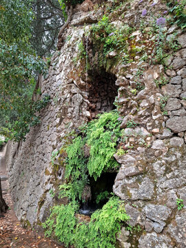 Stone grotto with lush green ferns and moss at historic Borja sanatorium grounds