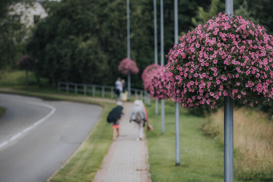 Pedestrians walking along a sidewalk lined with vibrant pink flower baskets on lamp posts, with a winding road and greenery in the background