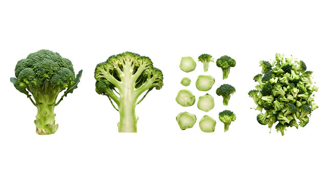 Fresh green broccoli collection on white background, whole broccoli head and sliced cross section, chopped florets and stems for cooking
