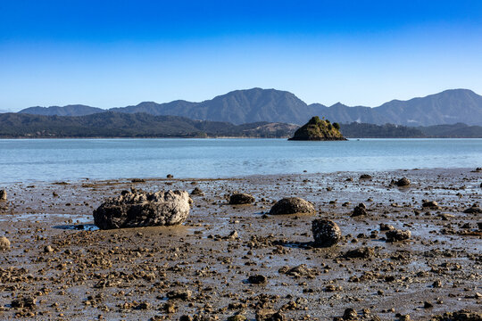 Coastal landscape at Koutu Boulders during low tide in Northland, New Zealand, featuring scattered rock formations, sandy shoreline and calm sea.
