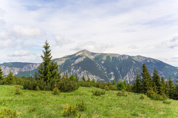 Fototapeta premium A stunning view of Rax Mountain in Austria showcases lush green hills under a bright blue sky with fluffy clouds, with dense greenery and bushes in the foreground while the mountains rise