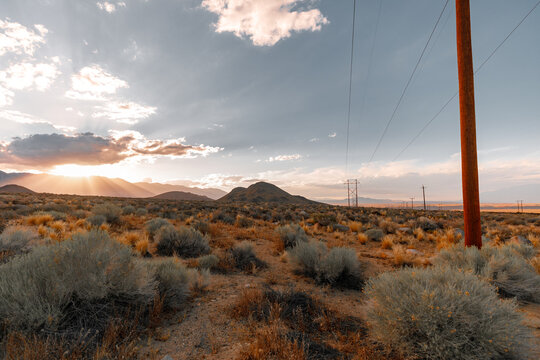 Brush, Hills, And Desert Light of Bishop, CA