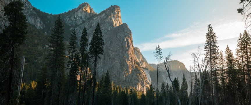Three Brothers Share The Morning Light
