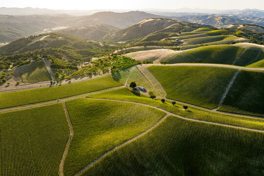 Vineyard Patterns and Property Lines