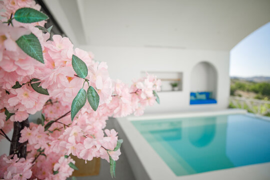 Pink Flowers Decorating A Pool Suite