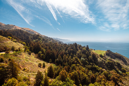 Big Sur Forests And Coastline