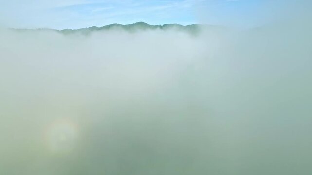 An aerial view captures a serene forest landscape, where thick clouds drift over the treetops, creating a tranquil and ethereal scene.