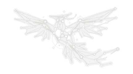 White phoenix constellation illustration with stars and geometric lines © pecel