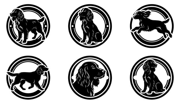 Set of black sprocker spaniel dog vector silhouette badges in circle frames showing standing sitting and running poses for canine pet logo design.