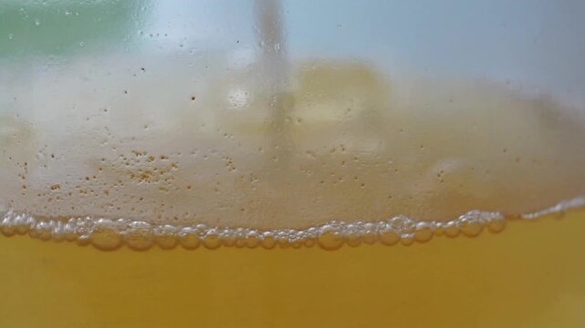 Close-up shot of an active brine shrimp (Artemia nauplii) zooplankton culture inside a laboratory flask, showing continuous aeration creating bubbles at the surface of the orange saltwater medium.