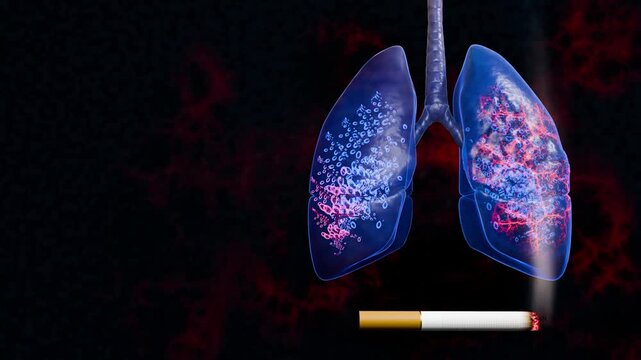 Medical concept showing cigarette and heavily damaged lungs, symbolizing the harmful effects of smoking, tobacco addiction, tar accumulation, lung cancer, and life-threatening respiratory diseases. 3D