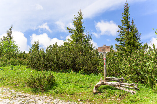 A picturesque view of Rax, Austria showcasing lush greenery under a bright blue sky
