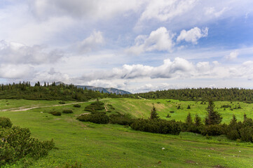 Obraz premium A vibrant green landscape at Rax Austria showcases rolling meadows with patches of wildflowers under a dramatic cloudy sky, with the foreground rich in lush grass and scattered shrubbery, while