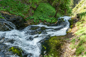 Wasserlochklamm showcases a stunning river adorned with foamy cascades surrounded by vibrant green foliage hues and natural textures under bright daylight enhancing the tranquil atmosphere © nordantin
