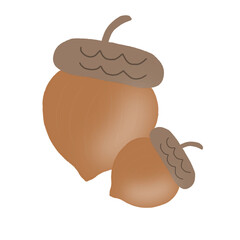 Acorn Hand Drawn Nature Illustration Isolated on White background  © Fitriani
