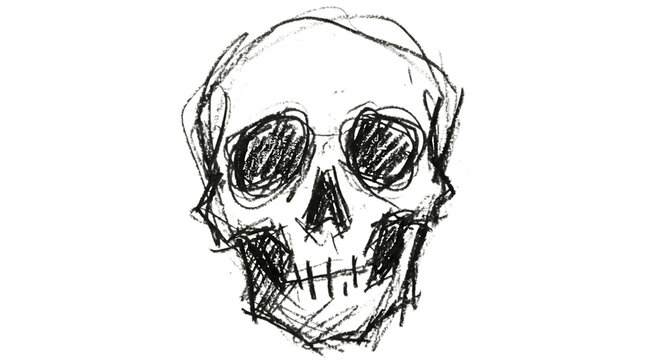 Handdrawn sketch of a human skull isolated on transparent background