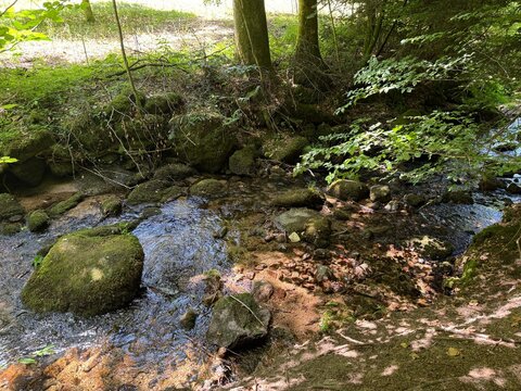 The bed of the Wiedenbach stream or the Wiedenbach forest creek (Black Forest Nature Park Central-North, Germany) - Das Bachbett des Wiedenbachs oder der Wiedenbach im Wald (Naturpark Schwarzwald)