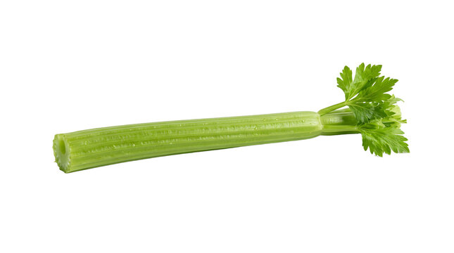 Fresh green celery stalk with leafy tops and water droplets PNG Isolated on transparent background