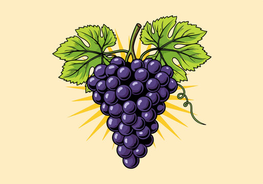Purple grapes with green leaves illustration