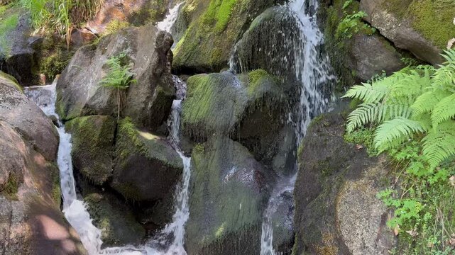 The Gertelbach Gorge with Gertelbach Waterfalls or Gertelbachfalls (Black Forest Nature Park Central-North, Germany) - Die Gertelbachschlucht mit Gertelbach-Wasserf&auml;lle oder Gertelbachf&auml;lle (Naturpark