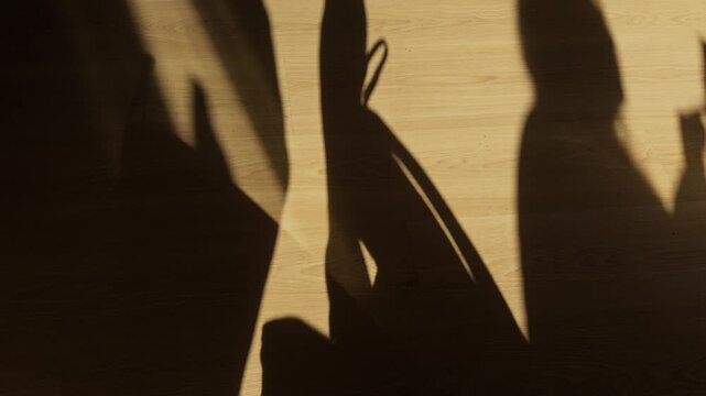 Pickpocket stealing wallet from a purse shadow play