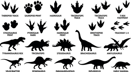 Dinosaur silhouettes and fossil footprint tracks set featuring T-Rex Triceratops and Stegosaurus icons for prehistoric education graphics © MstAduri