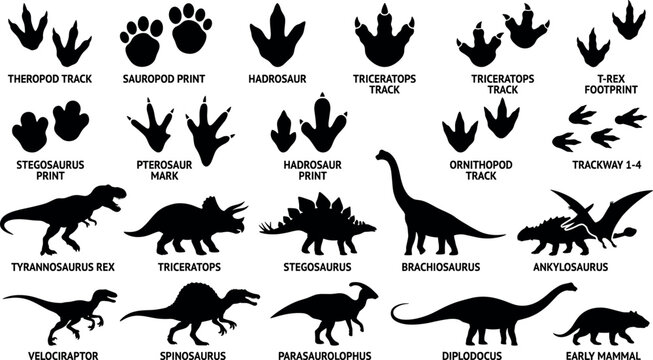Dinosaur silhouettes and fossil footprint tracks set featuring T-Rex Triceratops and Stegosaurus icons for prehistoric education graphics