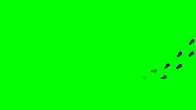 Footprints walking animation on a green screen
