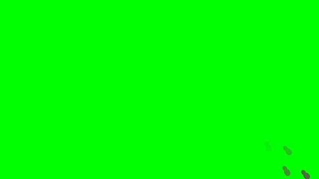 Footprints animation showing walking steps on a green screen