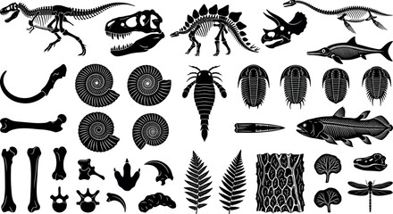 Prehistoric dinosaur skeleton bones and fossil silhouettes set featuring ammonites trilobites and skull icons for paleontology science education graphics © MstAduri