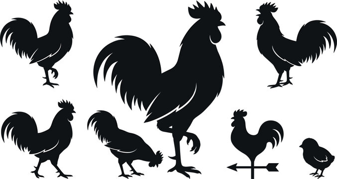 Rooster Silhouette Vector Collection with Chicken Farm Bird Elements Weather Vane and Chick Icons for Poultry Farming and Restaurant Logo Designs